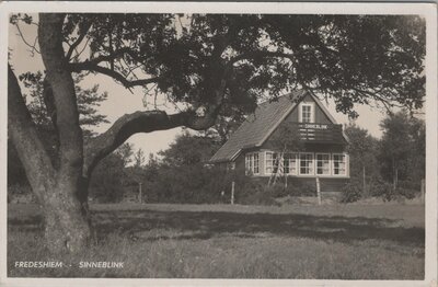 FREDESHIEM - Sinneblink