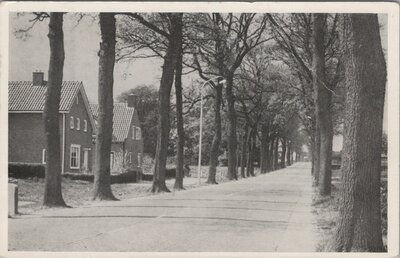 TUK - STEENWIJKERWOLD - Rijksweg Tuk - Steenwijkerwold