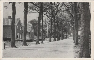 TUK - STEENWIJKERWOLD - Rijksweg Tuk - Steenwijkerwold