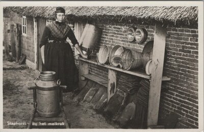 STAPHORST - Bij het melkrek