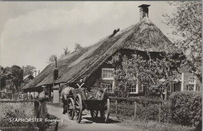 STAPHORST - Boerderij