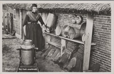 STAPHORST - Bij het melkrek