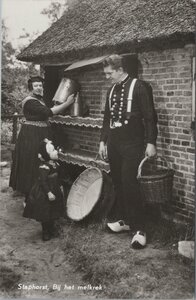 STAPHORST - Bij het melkrek