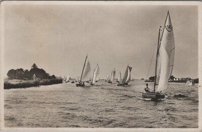 GROUW - Hardzeilen op het Pikmeer