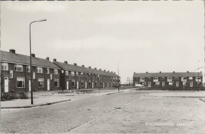 BIDDINGHUIZEN - Akkerhof