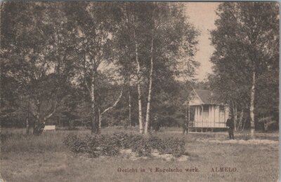 ALMELO - Gezicht in 't Engelsche werk