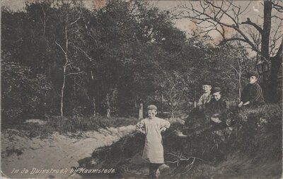 HAAMSTEDE - In de Duinstreek bij Haamstede