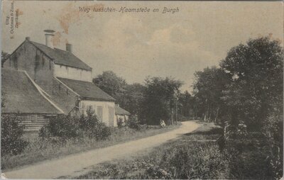 HAAMSTEDE - Wg tusschen Haamstede en Burgh
