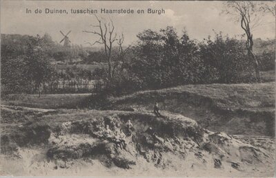 HAAMSTEDE - In de Duinen tusschen Haamstede en Burgh