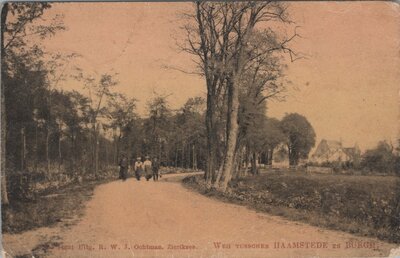 HAAMSTEDE - Weg tusschen Haamstede en Burgh