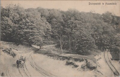 HAAMSTEDE - Duingezicht te Haamstede