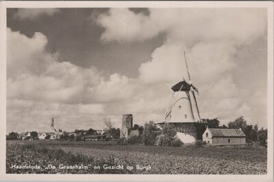 HAAMSTEDE - De Graanhalm en Gezicht op Burgh