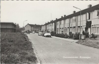 KRUININGEN - Duiveneestraat