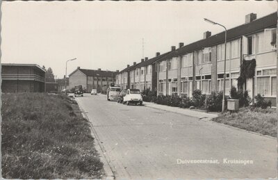 KRUININGEN - Duiveneestraat