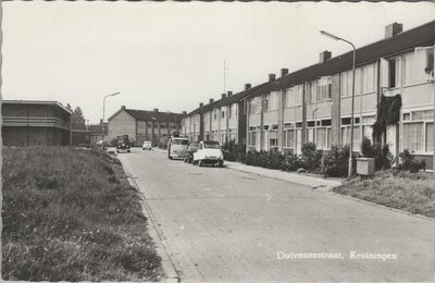 KRUININGEN - Duiveneestraat