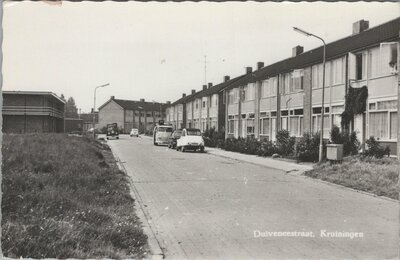 KRUININGEN - Duiveneestraat