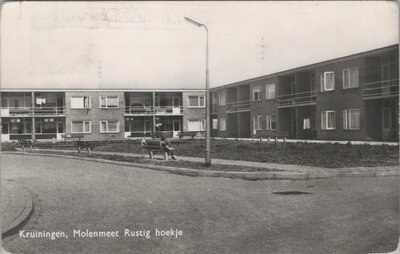 KRUININGEN - Molenmeet Rustig hoekje