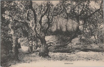 DOMBURG - Mantelingen. Meisjes in Klederdracht