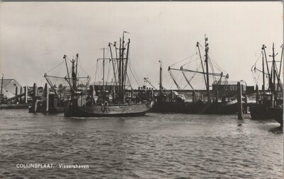 COLIJNSPLAAT - Vissershaven