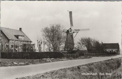 COLIJNSPLAAT - Oude Molen