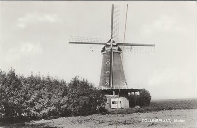 COLIJNSPLAAT - Molen