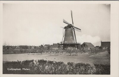 COLIJNSPLAAT - Molen