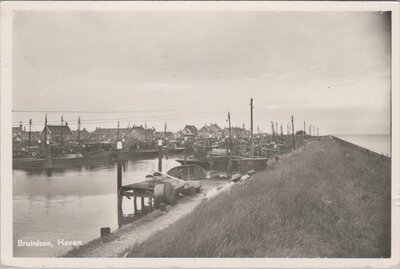 BRUINISSE - Haven