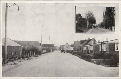 BRUINISSE - Dit bleef er van de bomenpracht aan de ingang van Bruinisse na de stormramp 1953 over