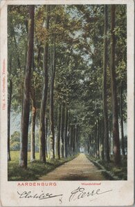 AARDENBURG - Wandeldreef