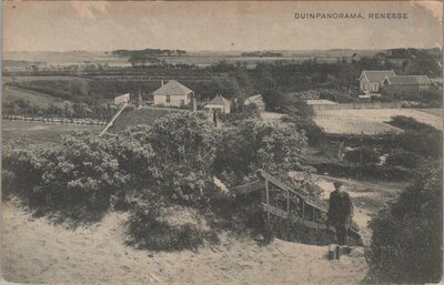 RENESSE - Duinpanorama