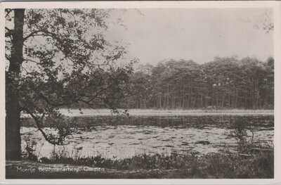 OMMEN - Meertje Besthmenerberg