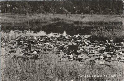 OMMEN - Meertje op Eerde