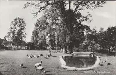SOMEREN - Hertenkamp