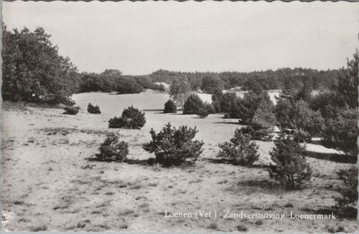 LOENEN (Vel.) - Zandverstuiving Loenermark
