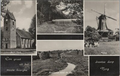 NORG - Een groet uit het mooie bosrijke drentse dorp Norg