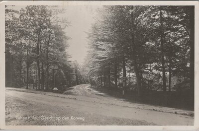 PUTTEN - Gezicht op den Karweg