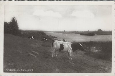 OOSTERBEEK - Rijngezicht