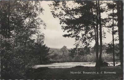 NIJVERDAL - Boschgezicht a. d. Bonteweg