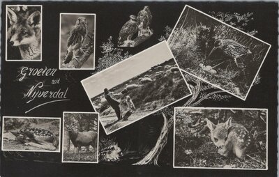 NIJVERDAL - Groeten uit Nijverdal