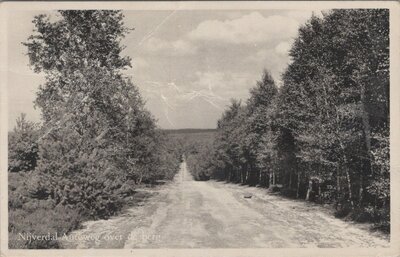 NIJVERDAL - Autoweg over de berg