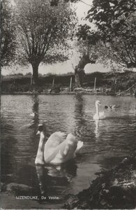 IJZENDIJKE - De Veste