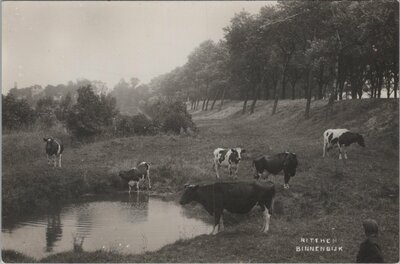 RITTHEM - Binnendijk