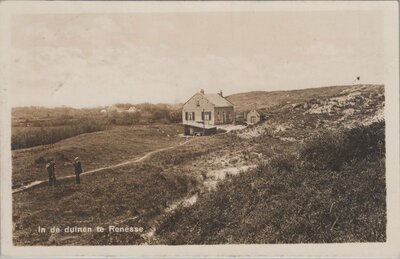 RENESSE - in de duinen te Renesse
