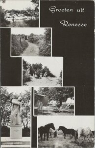 RENESSE - Meerluik Groeten uit Renesse