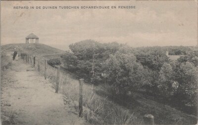 RENESSE - Repard in de Duinen tusschen Scharendijke en Renesse