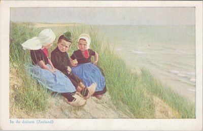 ZEELAND - In de duinen