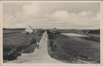 VROUWENPOLDER - Duinweg