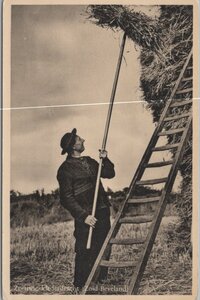 ZUID-BEVELAND - Zeeuwse Klederdracht