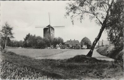 ZEDDAM - MONTFERLAND - Panorama op Berg-torenmolen