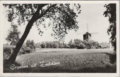 ZEDDAM - Groeten uit Zeddam